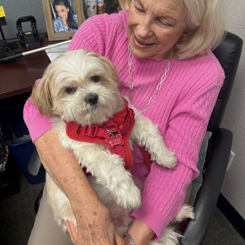 Shelby – Volunteer coordinator and her adorable Sammy Shelby - Volunteer coordinator and her adorable Sammy